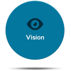 vision